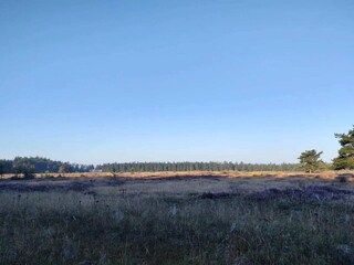 Vakantiehuis Hovborg  2