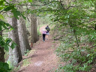 Ferienhaus Hovborg  24