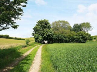 Casa per le vacanze Humble  12