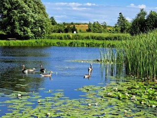 Casa per le vacanze Humble  19