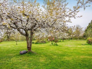 Vakantiehuis Gjerrild Nordstrand  23