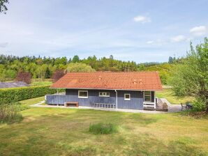 6 Personen Ferienhaus in Silkeborg - Silkeborg - image1