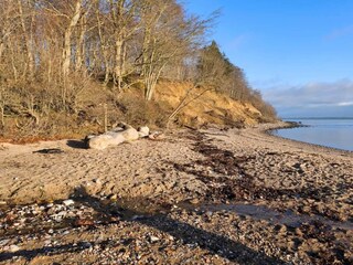 Ferienhaus Sønderballe  28