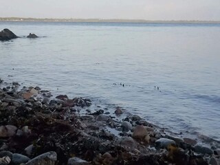 Maison de vacances Sønderballe  46