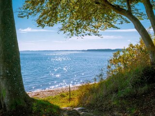 Ferienhaus Sønderballe  39