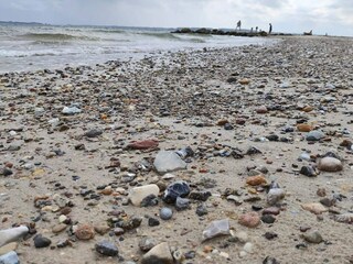 Ferienhaus Sønderballe  14
