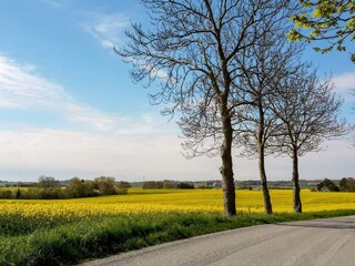 Maison de vacances Eskebjerg  29