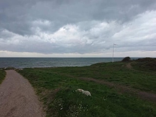 Ferienhaus Gilleleje  38