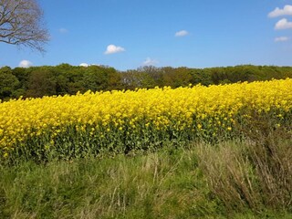 Casa per le vacanze Tåsinge  32