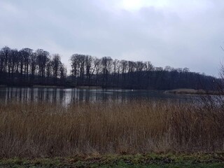 Vakantiehuis Tåsinge  29