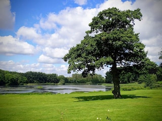 Ferienhaus Tåsinge  36