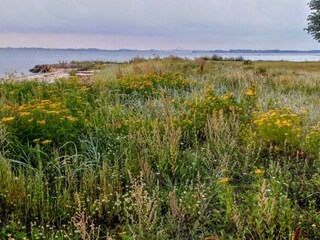 Casa de vacaciones Tåsinge  21