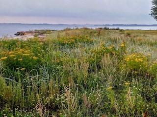 Holiday house Tåsinge  21