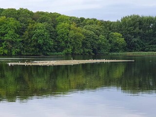 Casa per le vacanze Tåsinge  17