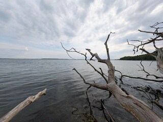 Maison de vacances Tåsinge  16