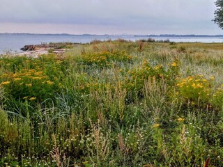 Maison de vacances Tåsinge  14