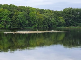 Maison de vacances Tåsinge  17