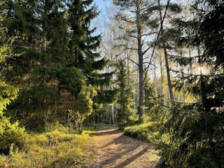 Ferienhaus Rävsnäs  17