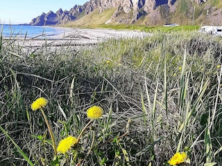 Holiday house Alsvåg  13