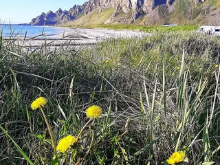 Vakantiehuis Alsvåg  9