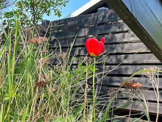 Holiday house Humlum  60
