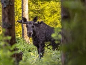 6 Personen Ferienhaus in TORSBY-By Traum - Torsby - image1