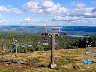 Ferienhaus Torsby  31