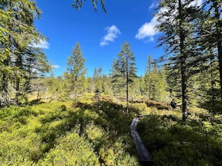 Ferienhaus Torsby  32