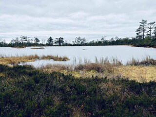 Vakantiehuis Torsby  12
