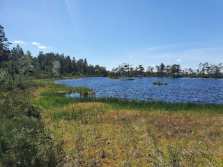 Ferienhaus Torsby  27