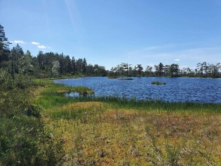 Vakantiehuis Torsby  35