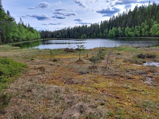Ferienhaus Torsby  16