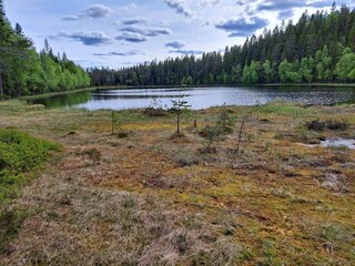 Vakantiehuis Torsby  16