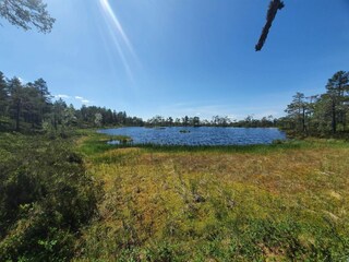 Vakantiehuis Torsby  17