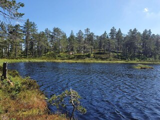 Vakantiehuis Torsby  24