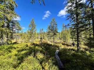 Vakantiehuis Torsby  28