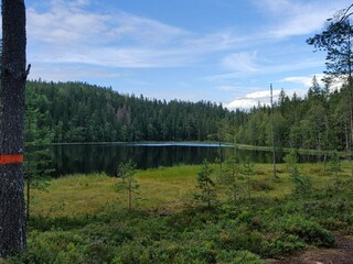 Vakantiehuis Torsby  30