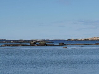 Vakantiehuis Lur  24