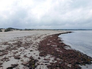 Vakantiehuis Hornbæk  14