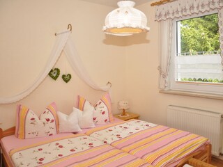 Appartamento per vacanze Schmiedefeld Caratteristiche 9