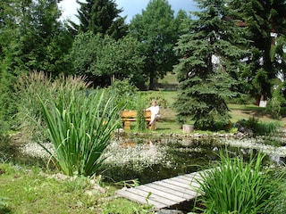 Garten mit Teich