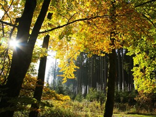 Appartamento per vacanze Schmiedefeld Ambiente 13