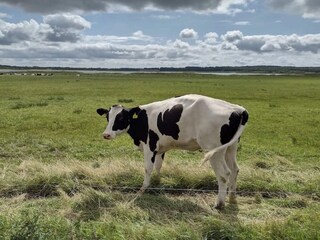 Maison de vacances Trend  18