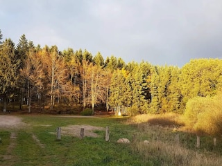 Ferienhaus Trend  19