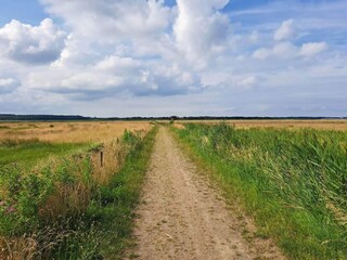 Vakantiehuis Trend  20