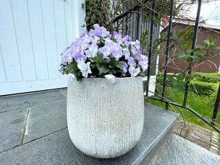 Vakantiehuis Linköping Buitenaudio-opname 4