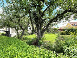 Vakantiehuis Linköping Buitenaudio-opname 7