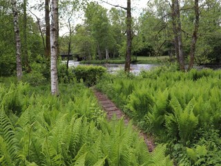 Holiday house Laholm  14