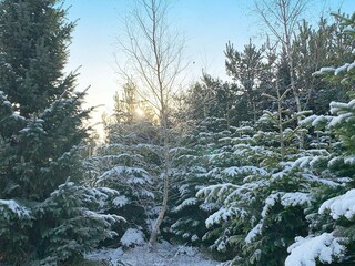 Maison de vacances Marielyst Enregistrement extérieur 9