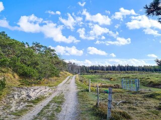 Vakantiehuis Liseleje  35